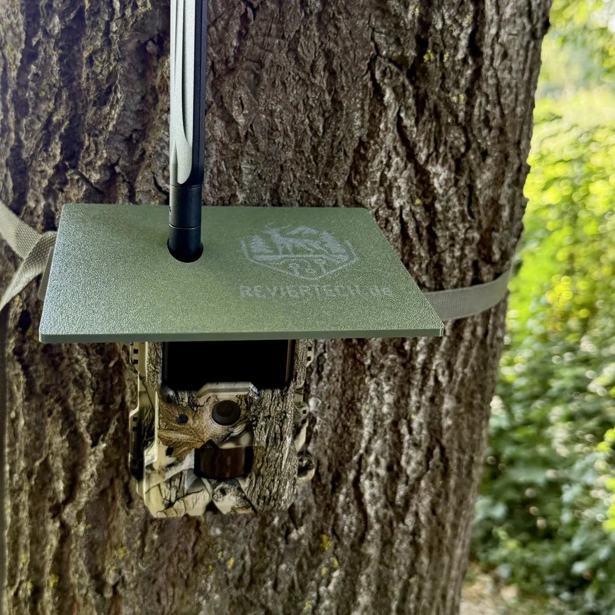 Wildkameradach - Dörr Cloud Mini 4G/LTE - reviertech.de