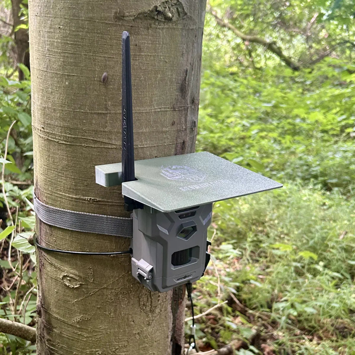 Wildkameradach Spypoint Flex Dark - reviertech.de