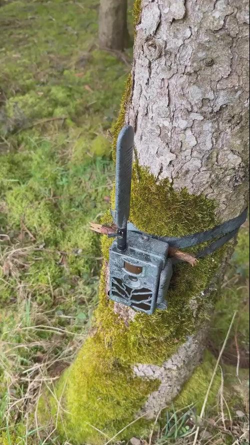 Wildkameradach - reviertech.de